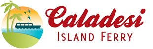 Caladesi Island Connection, Inc
